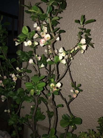 b0164428_23281714.jpeg