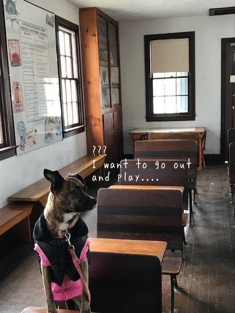 d0269832_03403439.jpeg