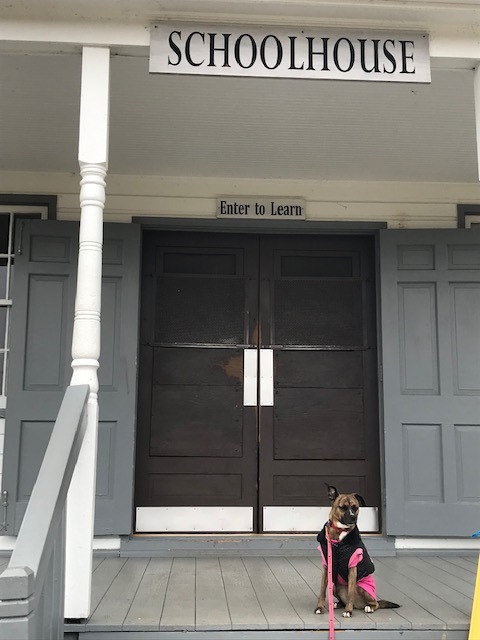 d0269832_03463124.jpeg