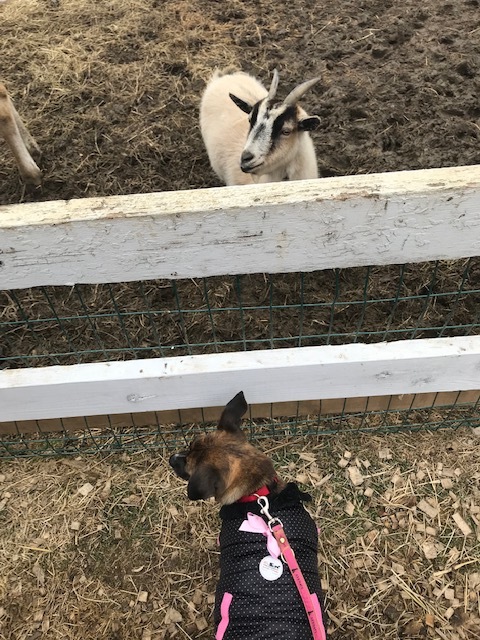 d0269832_03484338.jpeg