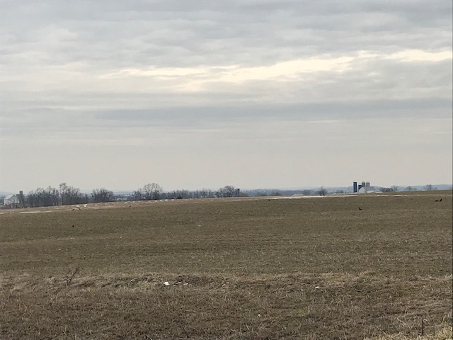d0269832_03565702.jpeg