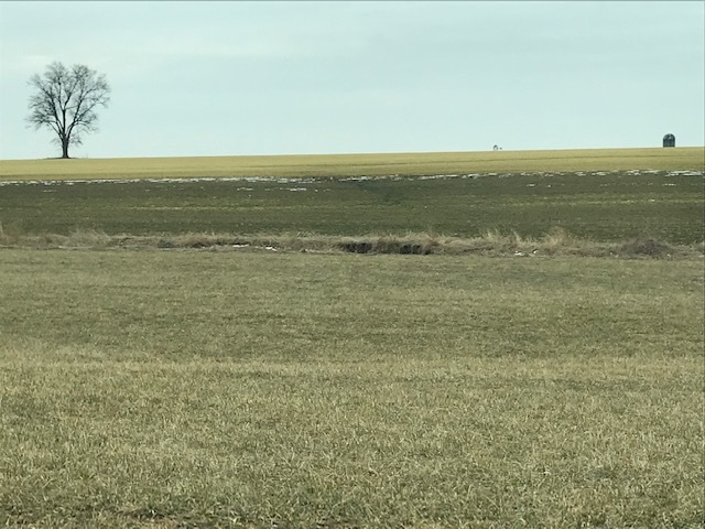 d0269832_03594127.jpeg
