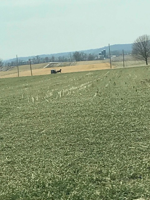 d0269832_04011912.jpeg