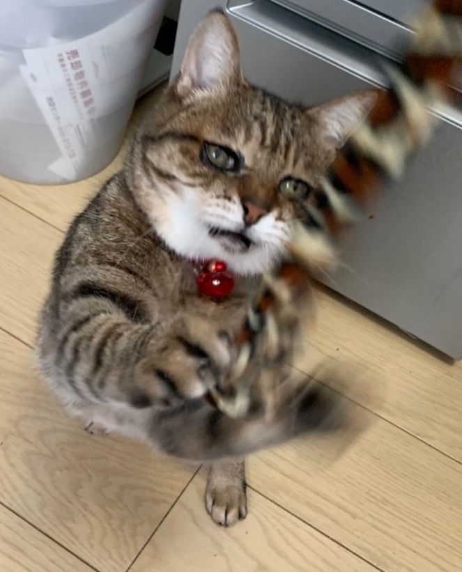 c0342535_14023136.jpeg