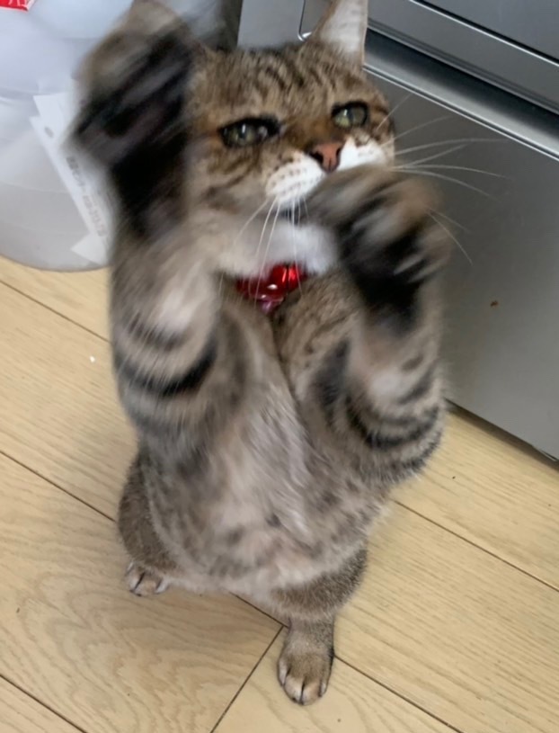 c0342535_14023193.jpeg