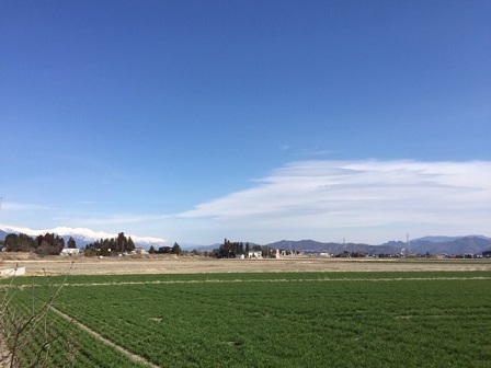 a0272241_16264058.jpeg