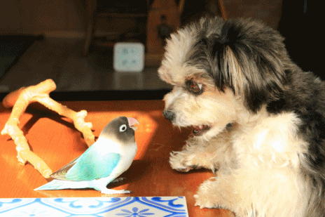 c0145250_09045380.gif