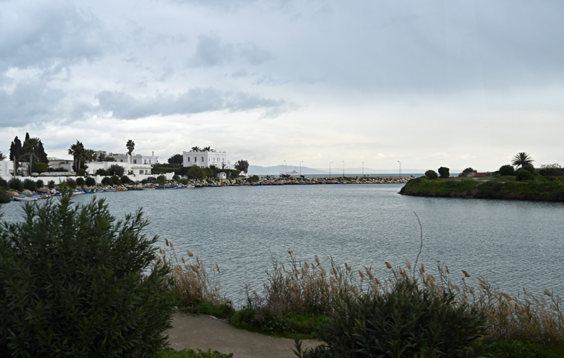 f0140054_09420853.jpg