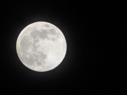 c0222861_2314081.jpg
