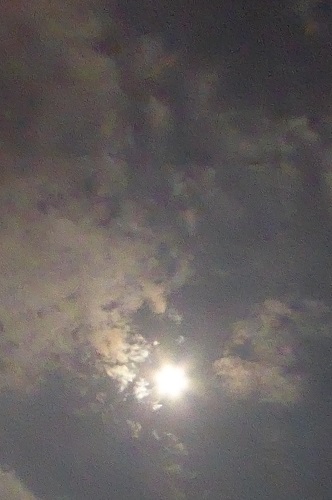 c0222861_2353393.jpg
