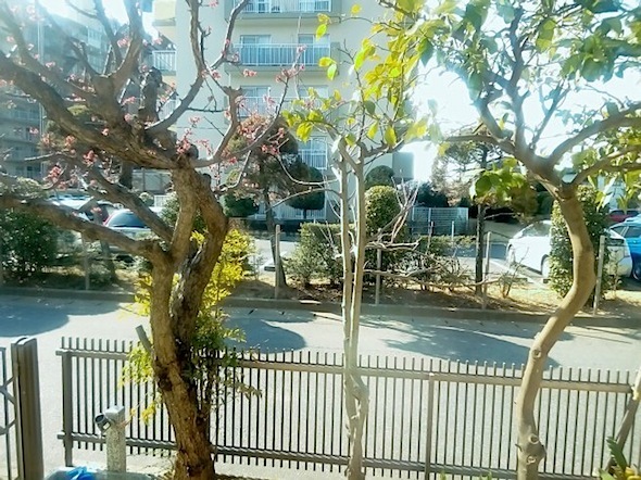 c0077465_12525645.jpg