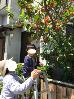 f0363168_21042693.png