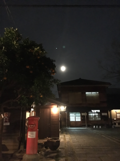 f0363168_21060036.png