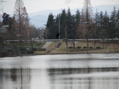 b0149071_11011679.jpg