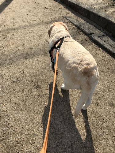 f0315081_22352082.jpeg