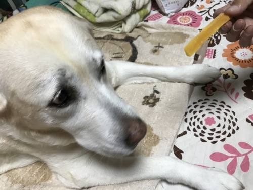 f0315081_22400497.jpeg