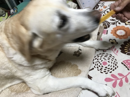 f0315081_22402885.jpeg