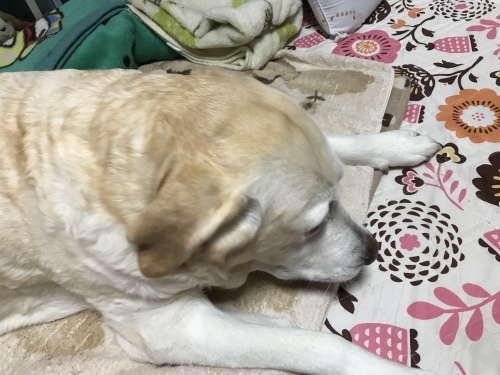 f0315081_22405209.jpeg