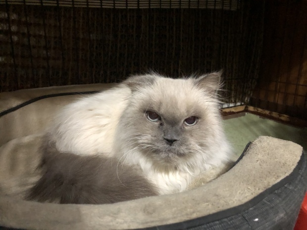 b0377882_09114606.jpeg