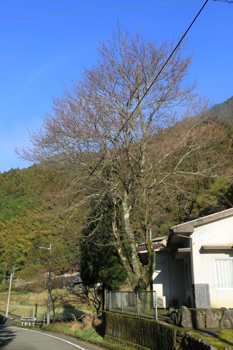c0358784_23512366.jpg