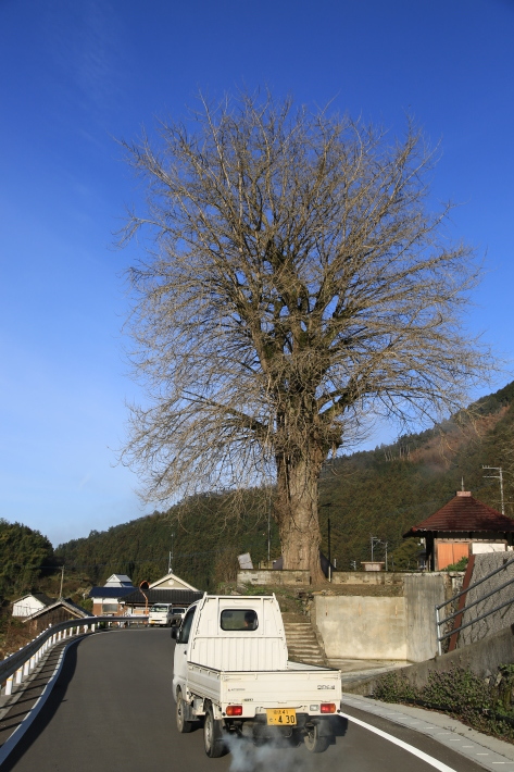 c0358784_23523975.jpg