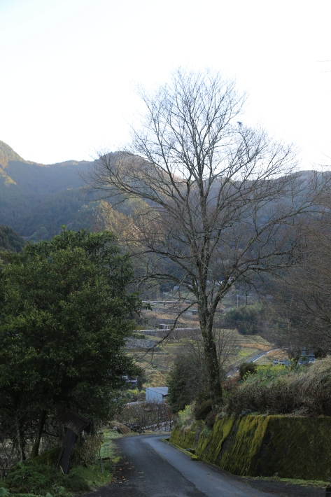 c0358784_23531746.jpg