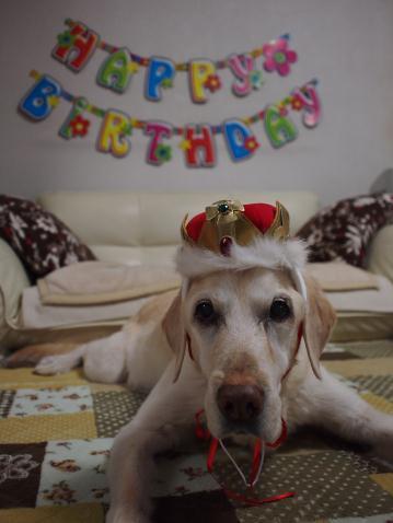 ハタチのお誕生日、おめでとう♡_c0028792_21304173.jpg