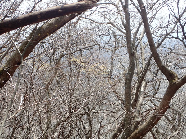 c0366392_15323755.jpg