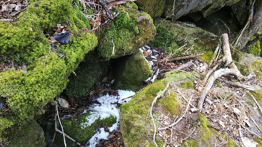 c0366392_15432395.jpg