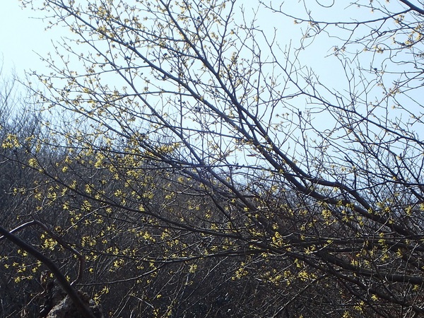 c0366392_1546913.jpg