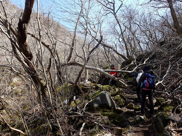 c0366392_16131559.jpg