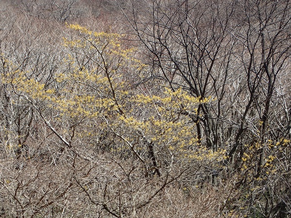 c0366392_169720.jpg