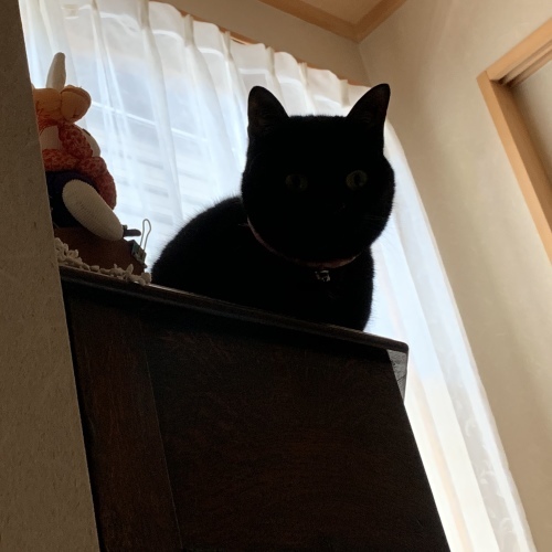起きて_e0358096_09541690.jpeg