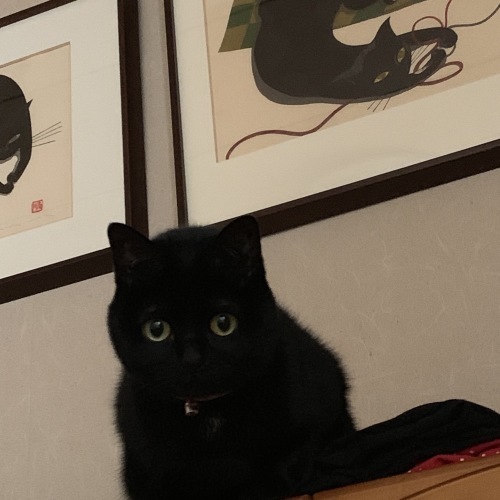 起きて_e0358096_09543466.jpeg