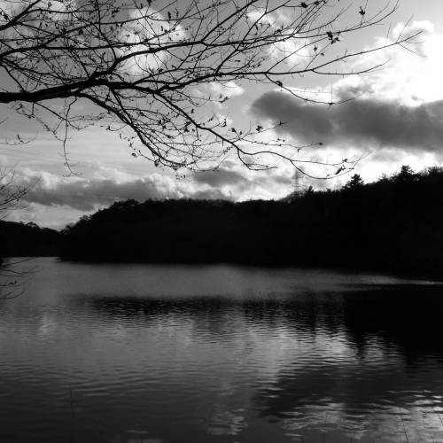 c0217406_16191946.jpg