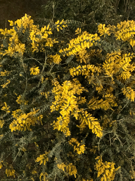 b0268815_21020941.gif
