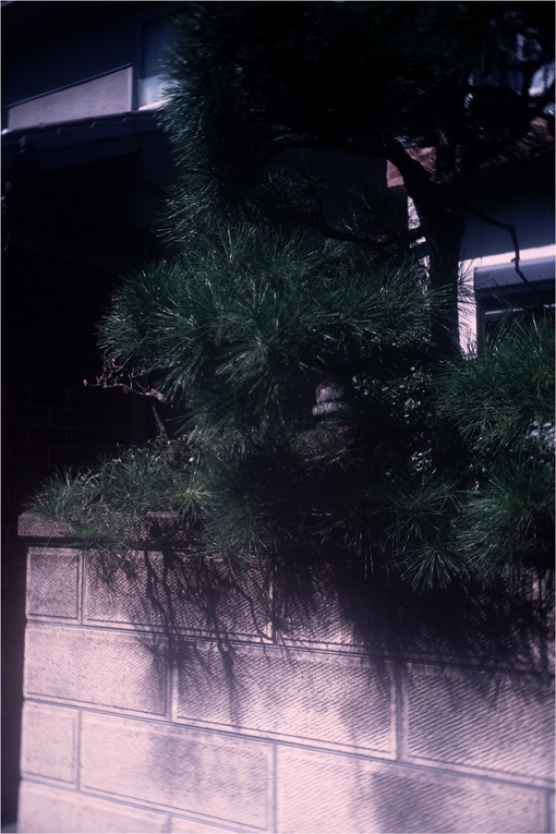 b0226423_22344864.jpg