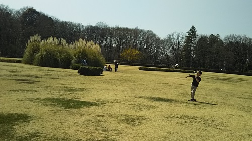 a0108328_16343278.jpg