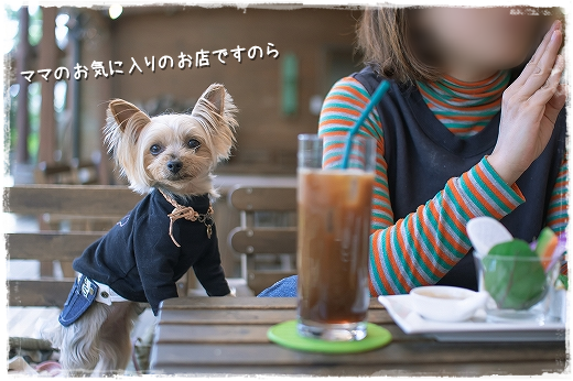 d0179828_14170829.png