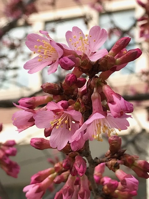 d0269832_05563341.jpeg