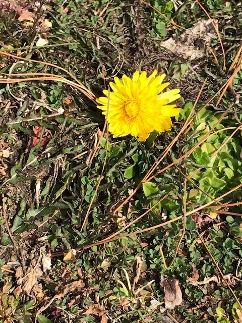 d0269832_05584131.jpeg