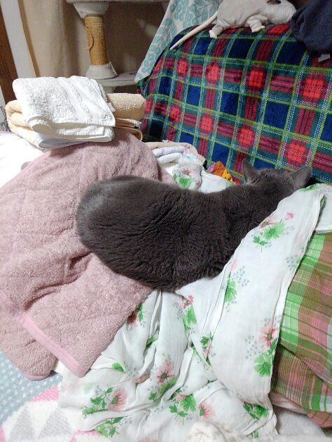 ぐちゃぐちゃいちくん_d0152937_20343441.jpg
