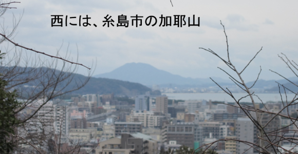a0237545_10101629.png