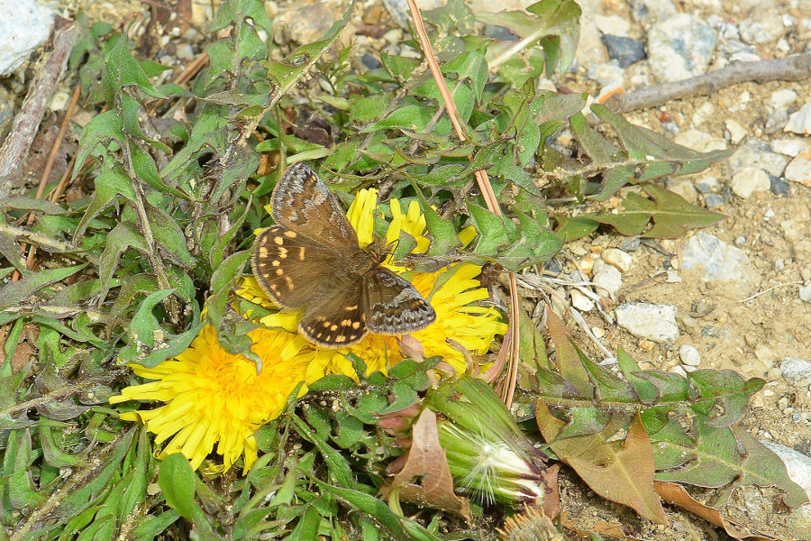 d0387460_21112190.jpg