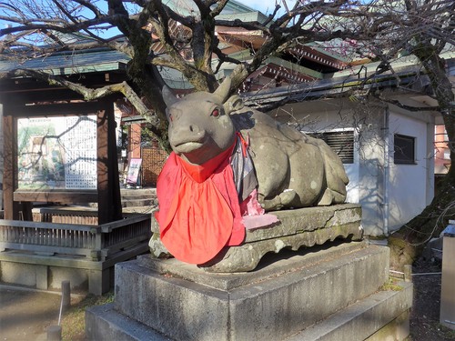 京都・北野天満宮へ行く。_f0232060_11203100.jpg