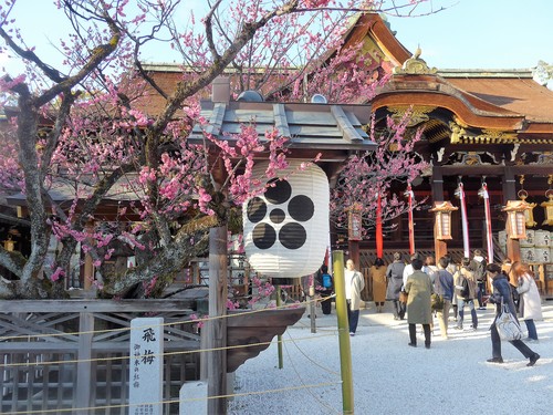 京都・北野天満宮へ行く。_f0232060_1125405.jpg