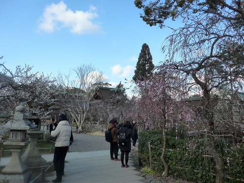 京都・北野天満宮へ行く。_f0232060_11323576.jpg