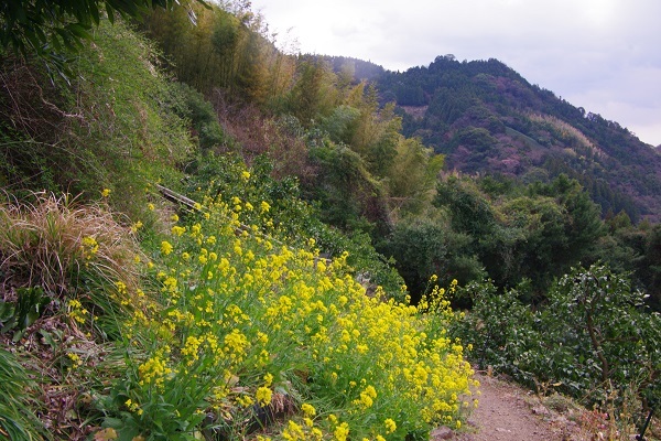 春色の散歩道_d0164761_08231736.jpg