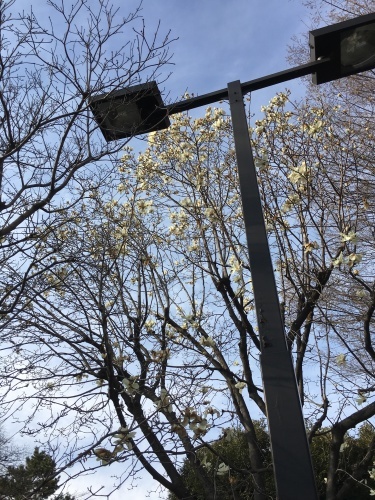 b0145863_21560382.jpeg