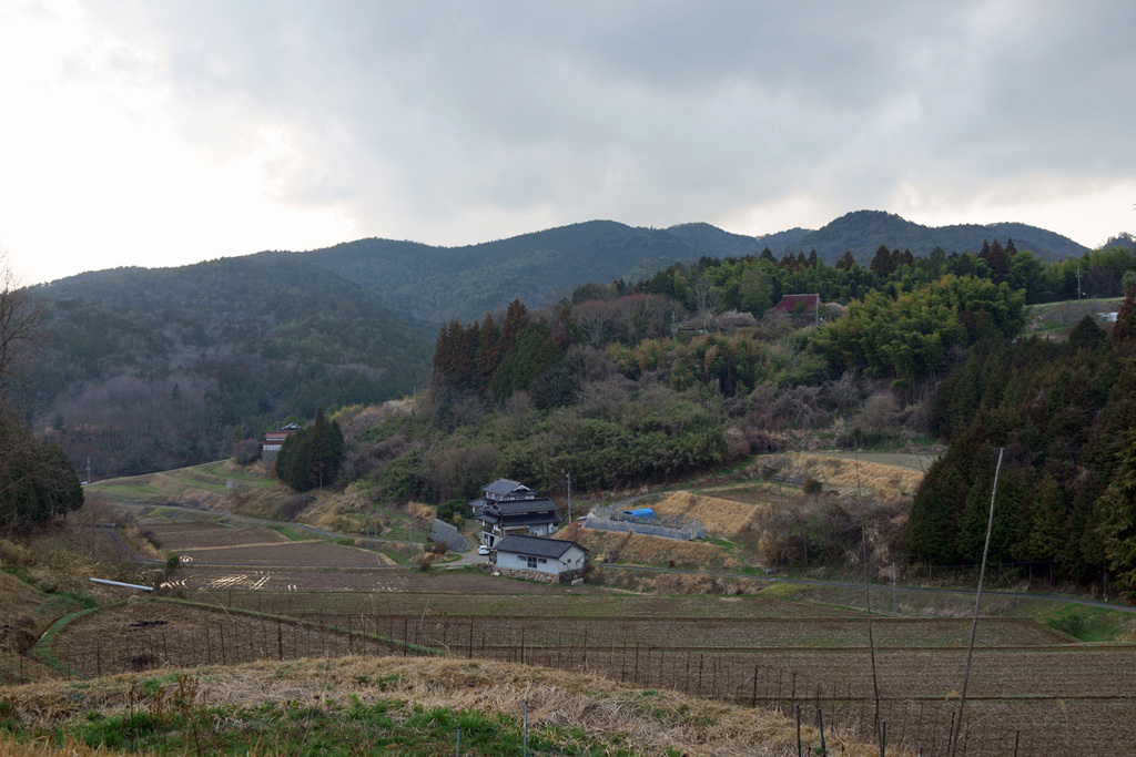 サクラサク_d0231263_23175132.jpg